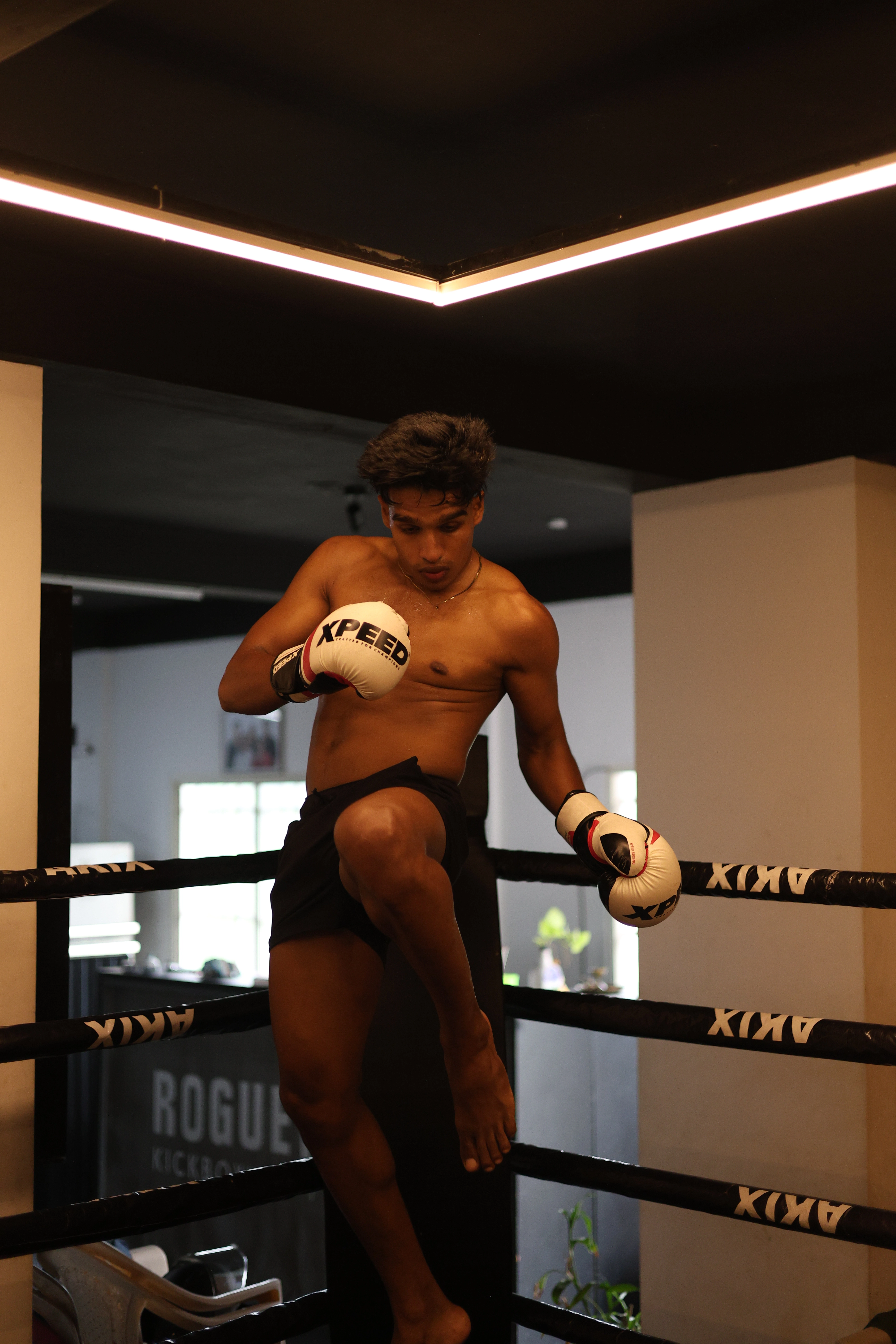 Training at Rogue Ninja Dojo